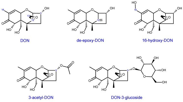 Scheme 7