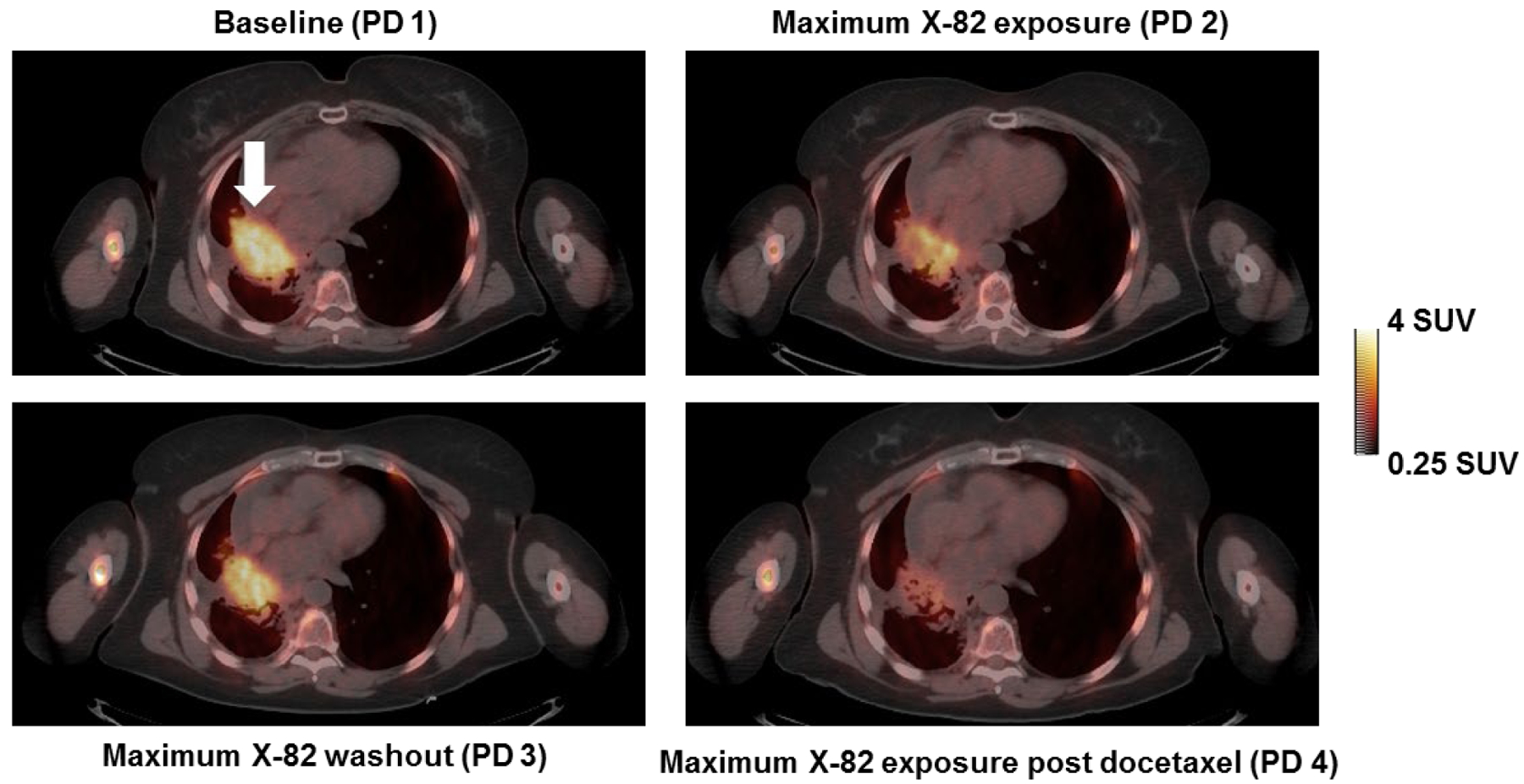 Figure 2: