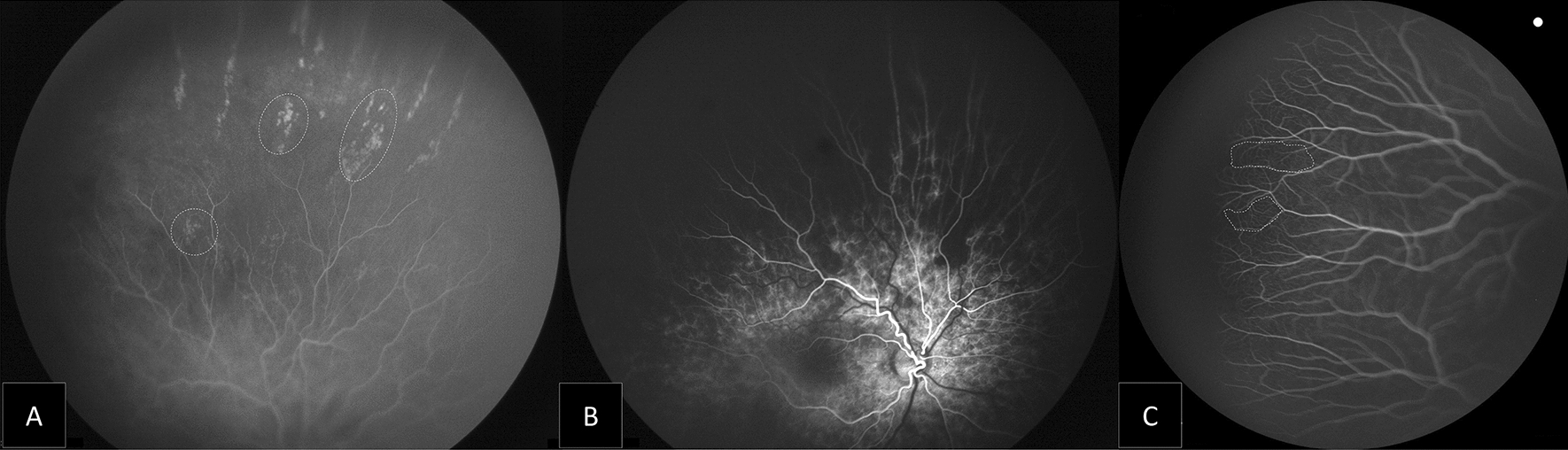 Fig. 3