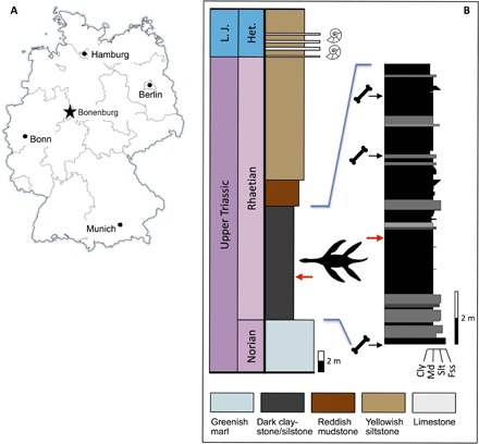 Fig. 1