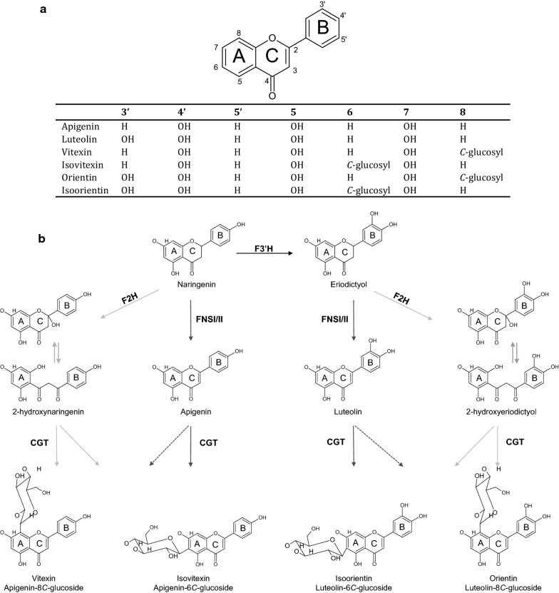 Fig. 1