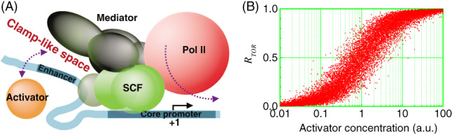 BRV-12452-FIG-0004-c