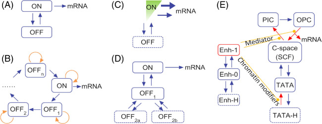 BRV-12452-FIG-0002-c