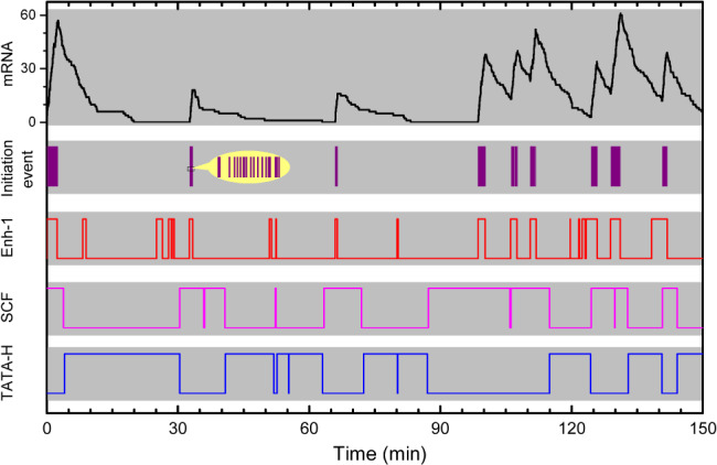 BRV-12452-FIG-0005-c