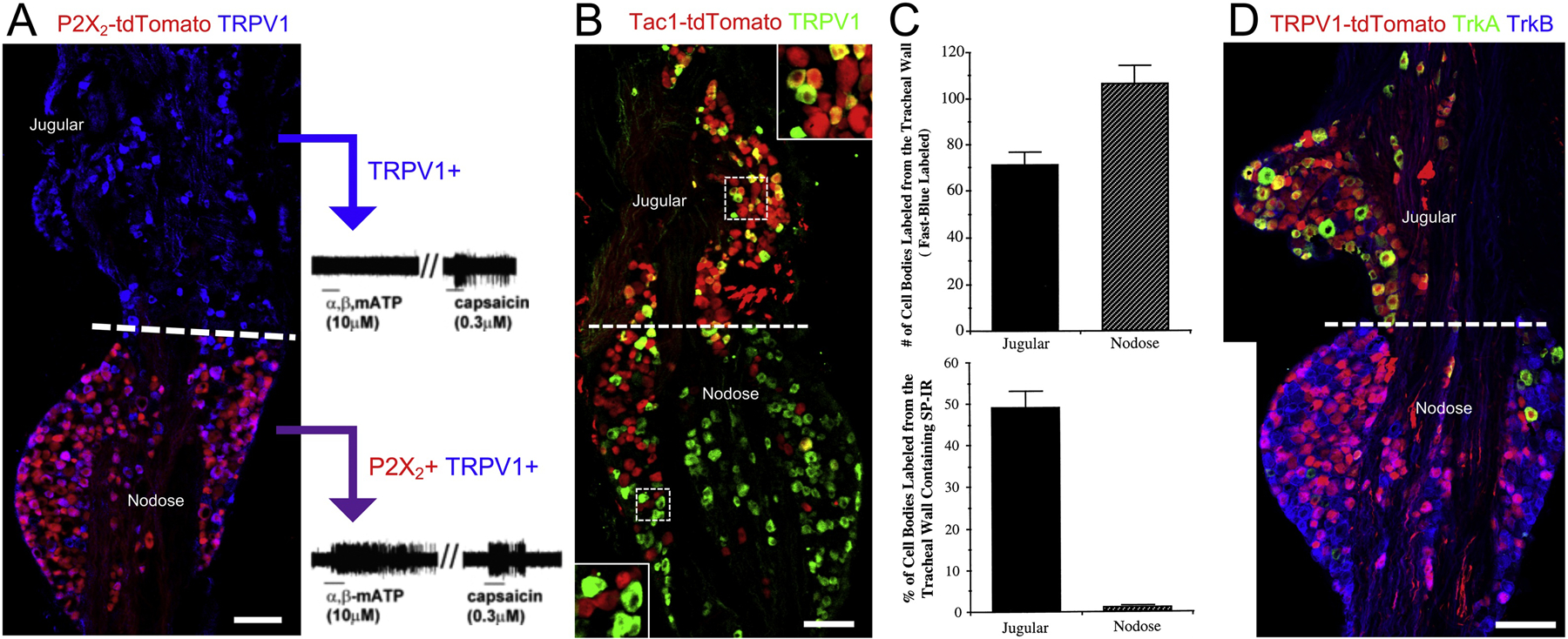 Figure 2: