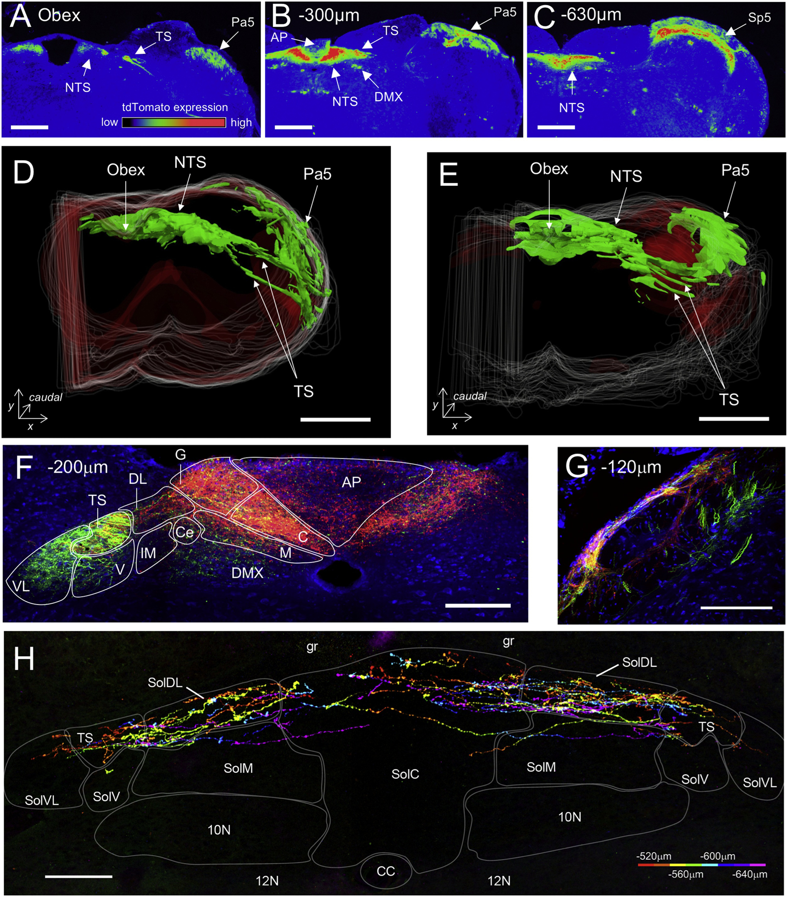 Figure 3: