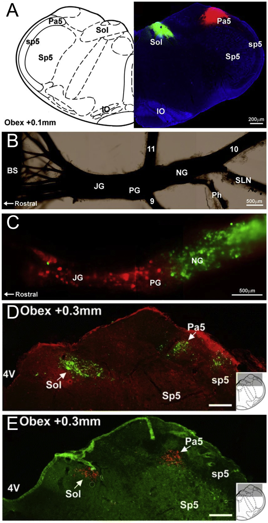 Figure 4: