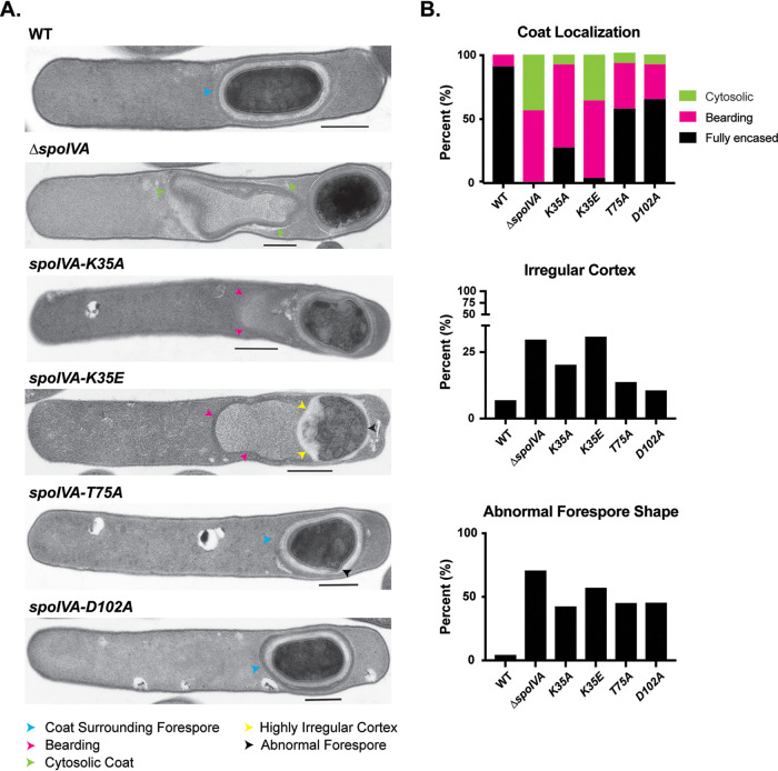 FIG 2