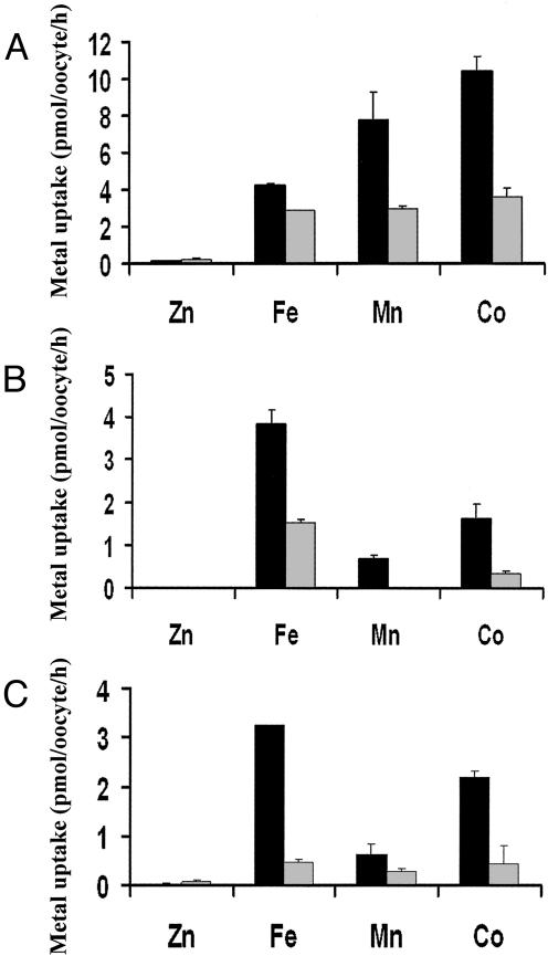 Fig. 2.