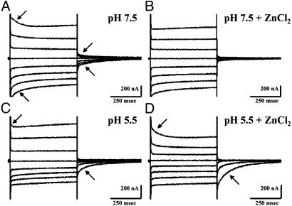 Fig. 5.