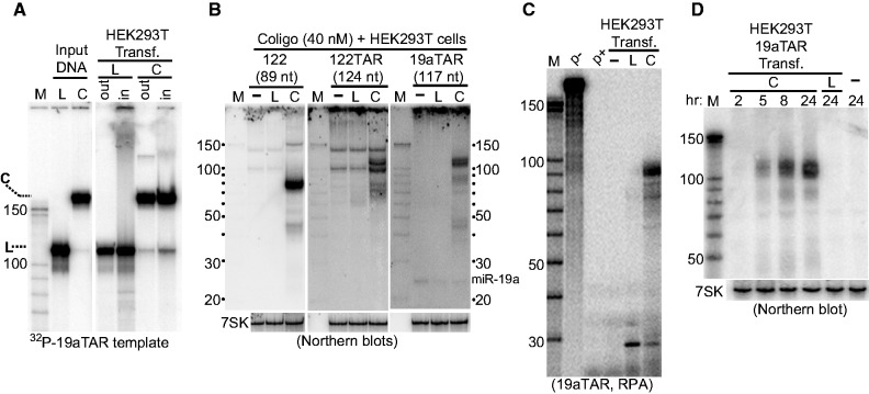 Figure 5.