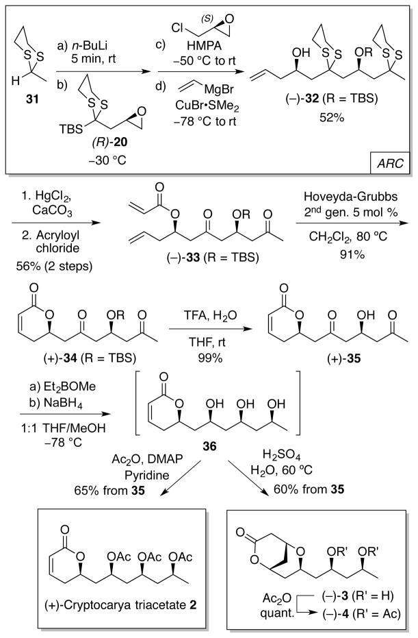 Scheme 5