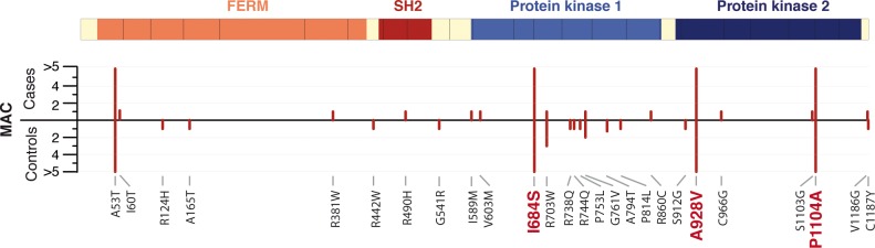 Fig 3