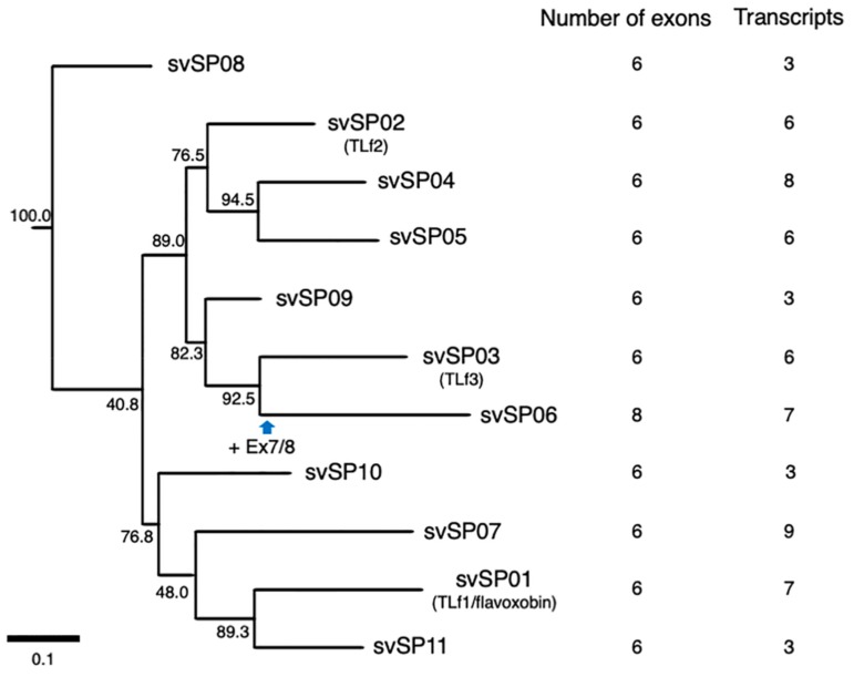 Figure 7