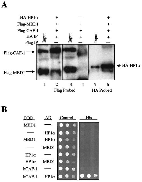 FIG. 5.