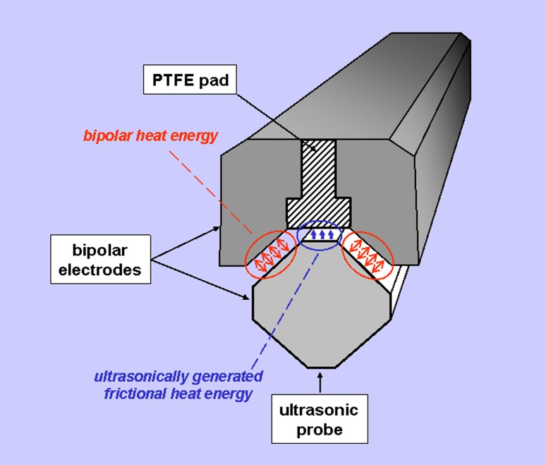 Fig. 2