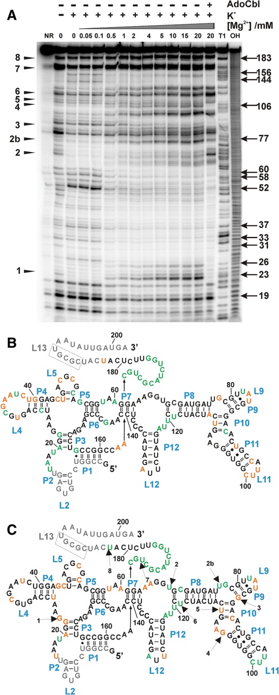 FIGURE 1.