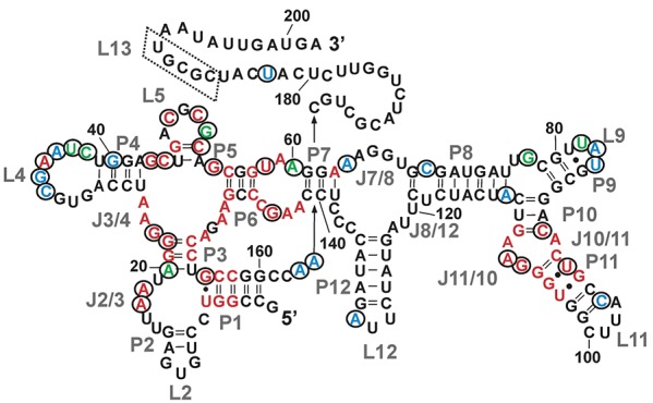 FIGURE 6.