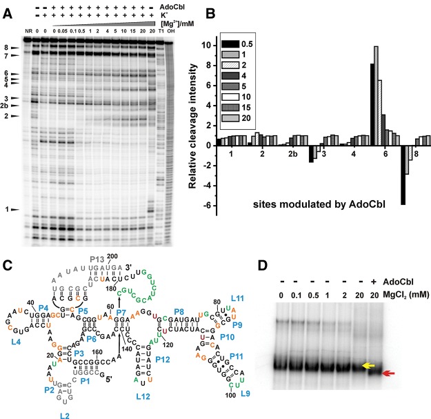 FIGURE 4.