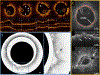 Figure 9: