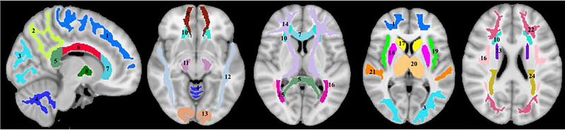 Figure 2.