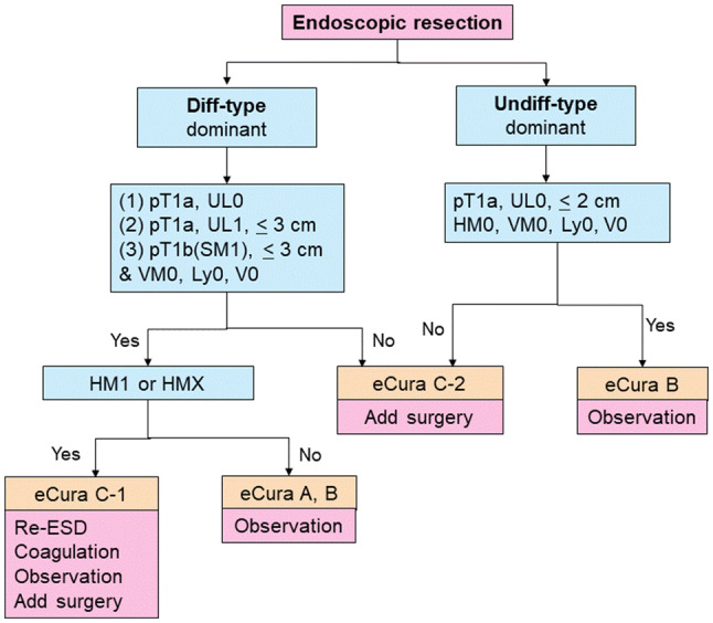 Fig. 7