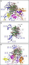 FIGURE 2.