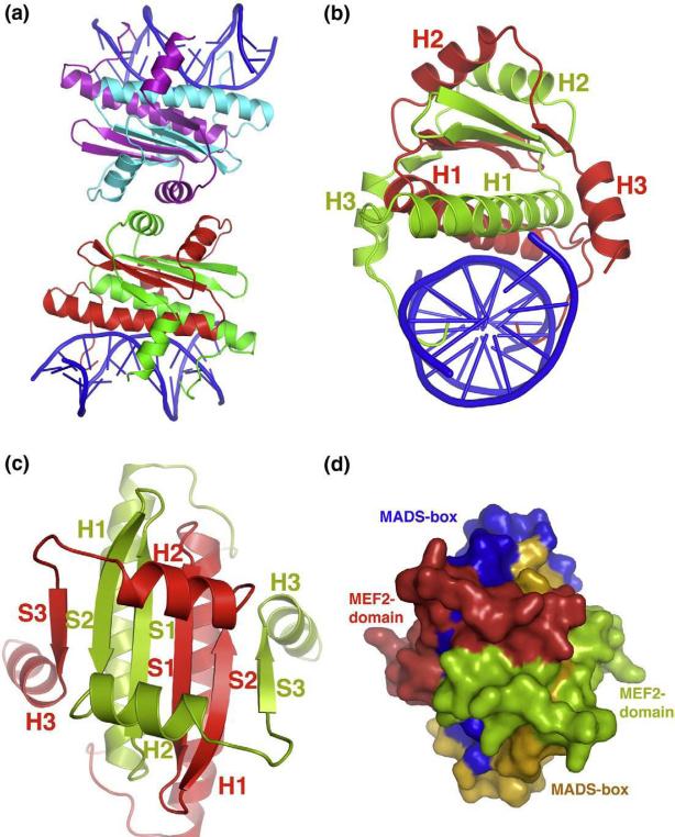 Fig. 1