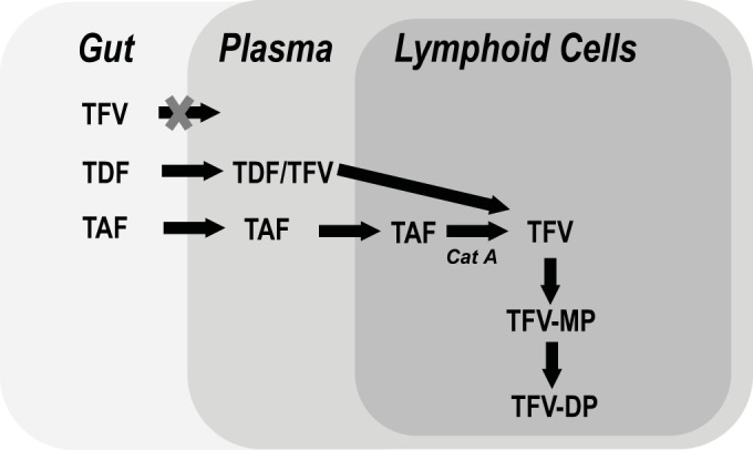 FIG 2