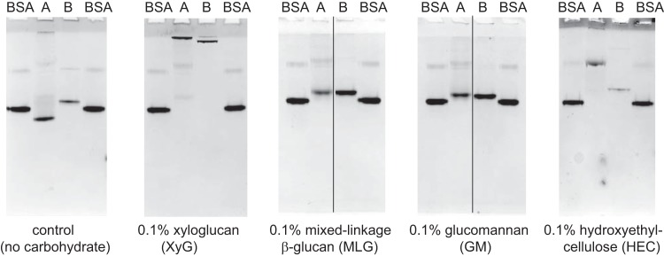 FIG 3 