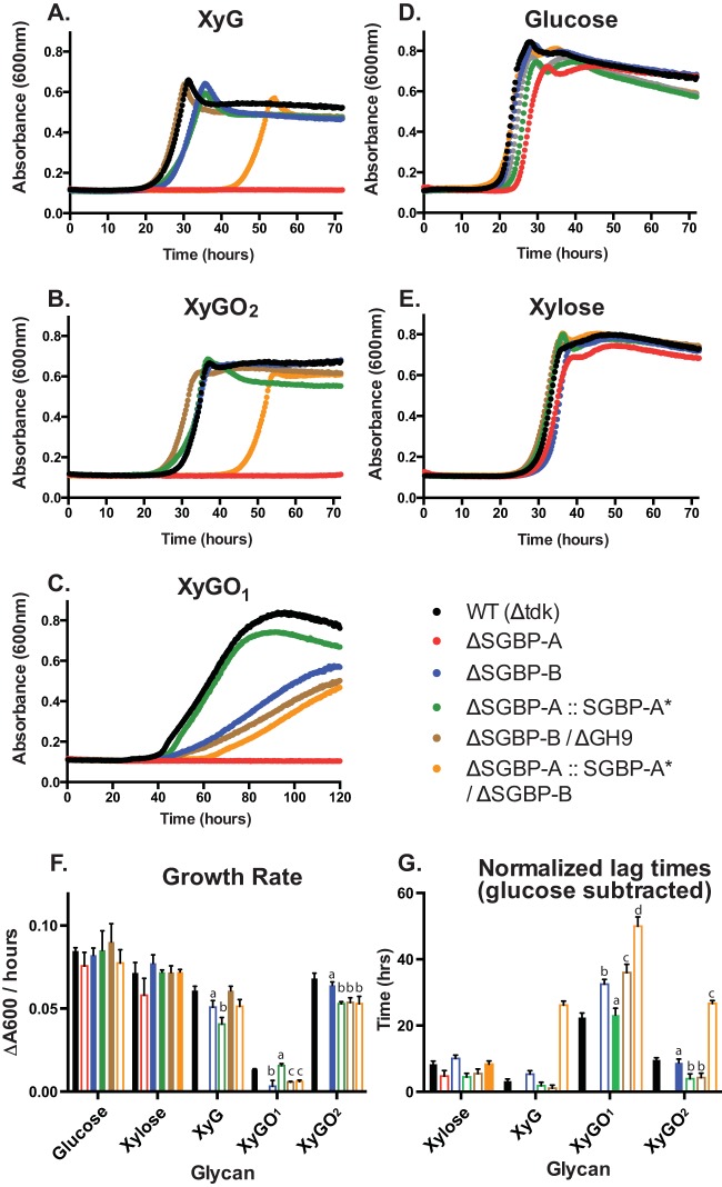 FIG 6 