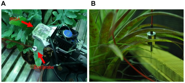 FIGURE 4