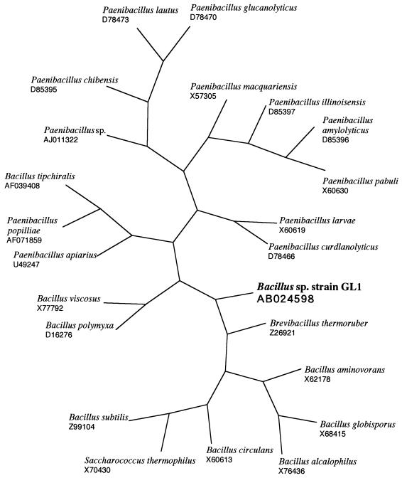 FIG. 1