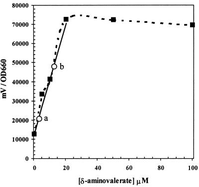 FIG. 6