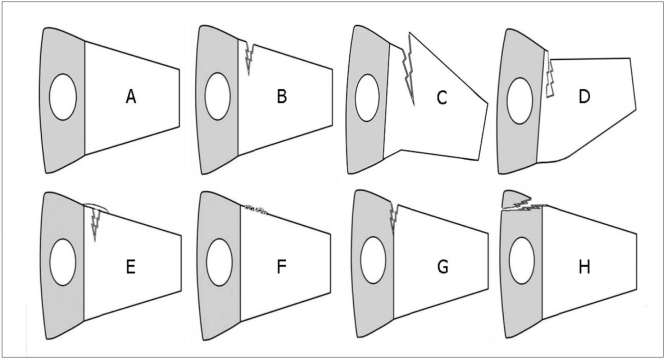 Fig. 8