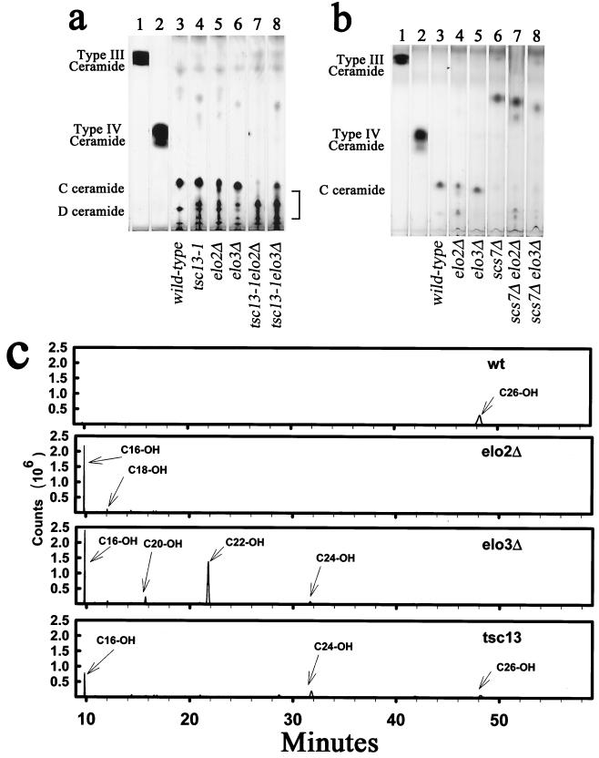 FIG. 5