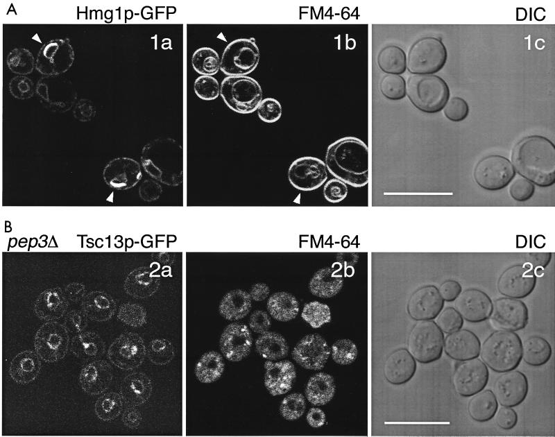 FIG. 11