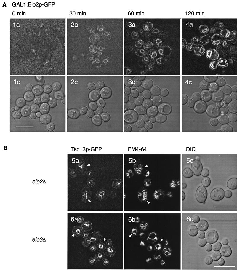 FIG. 10