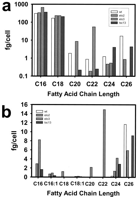 FIG. 6