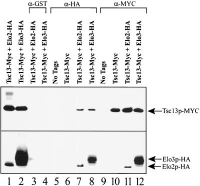 FIG. 8