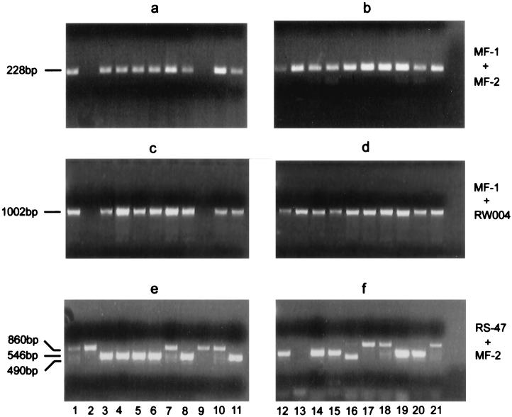 FIG. 5