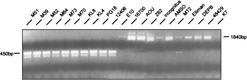 FIG. 6