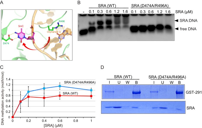 FIGURE 4.