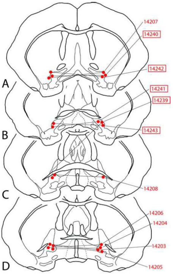 Figure 3: