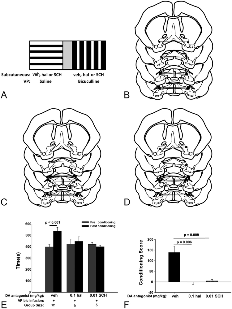 Figure 10: