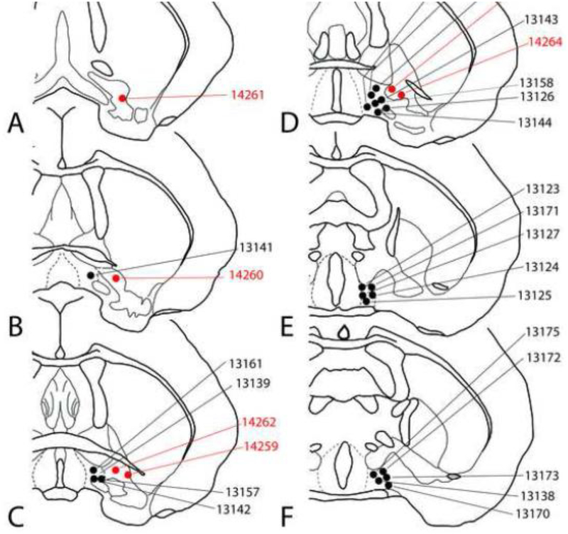 Figure 2: