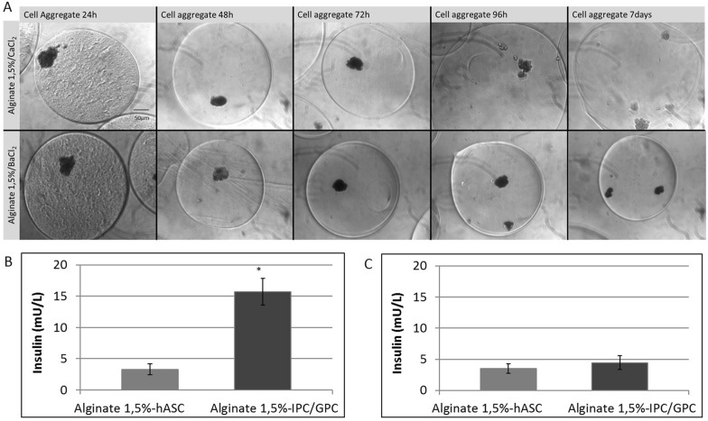 Fig. 6