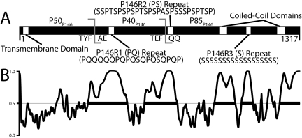 FIG 4 