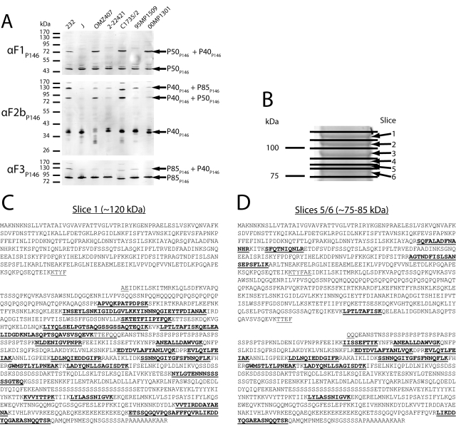 FIG 3 