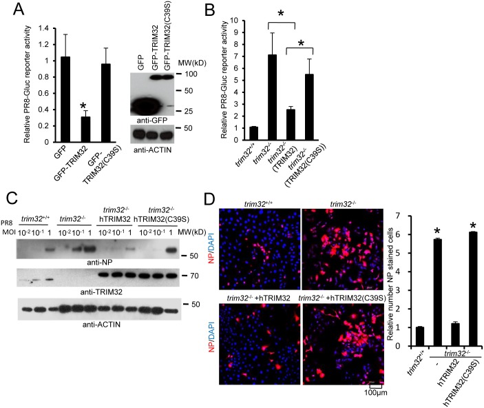 Fig 6